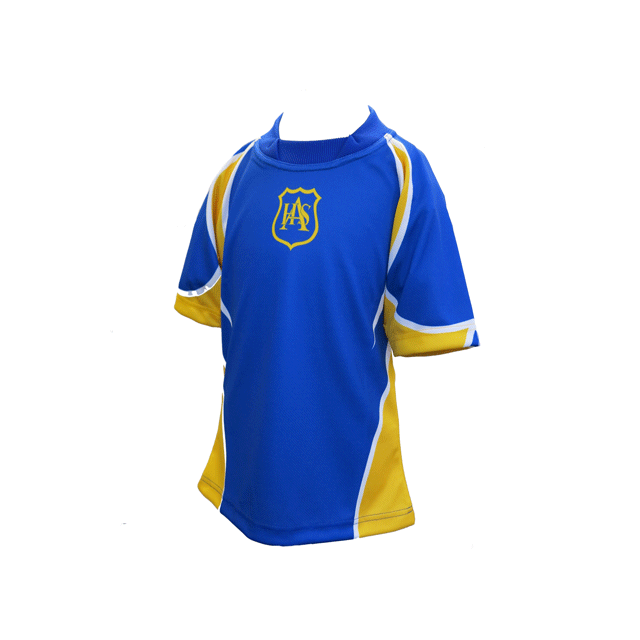 Ashton House Boys Games Shirt