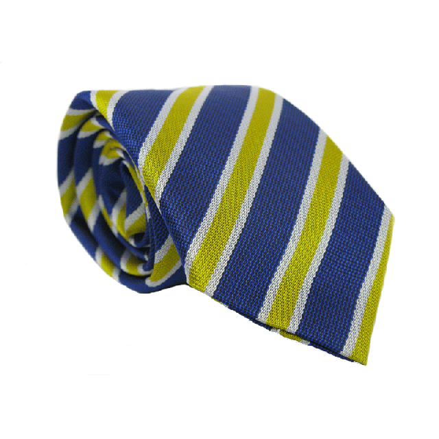 Ashton House School Tie