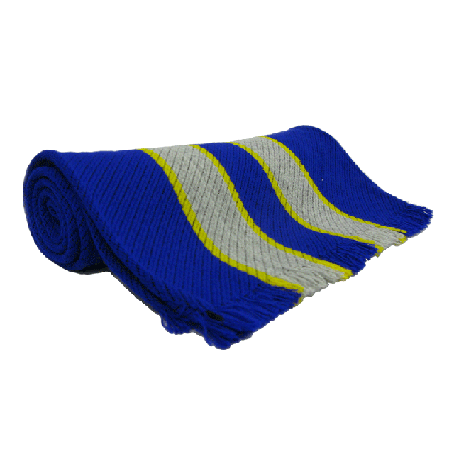 Ashton House School Scarf