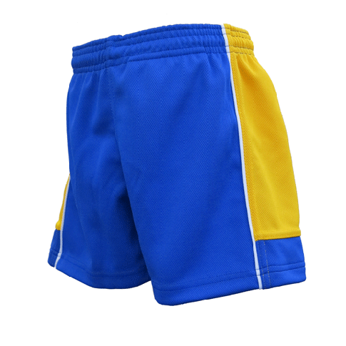 Ashton House Boys PE Shorts