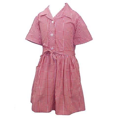 Red check store summer school dress